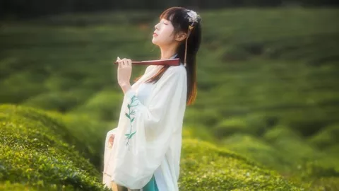 毛线花展览