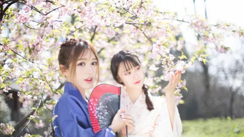 西藏自治区60周年