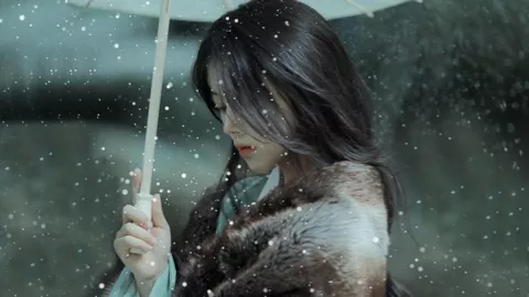 费大师