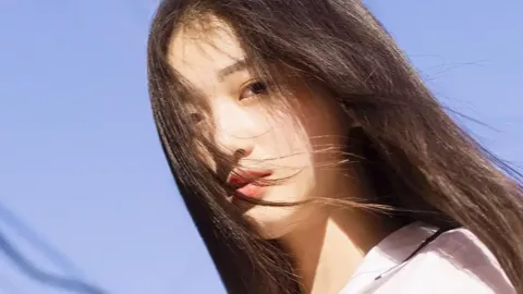 狼犬走失事件