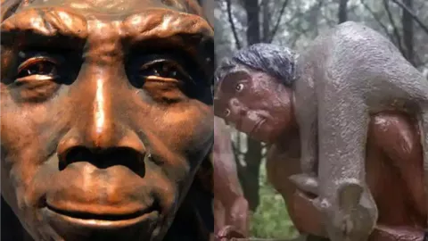 北京人火种起源