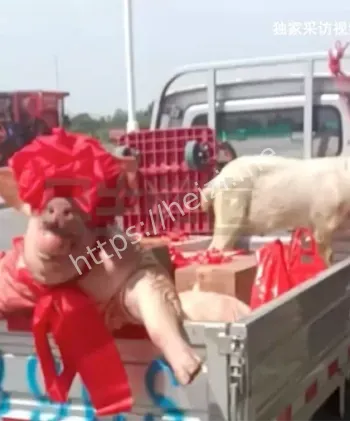 男子骗婚