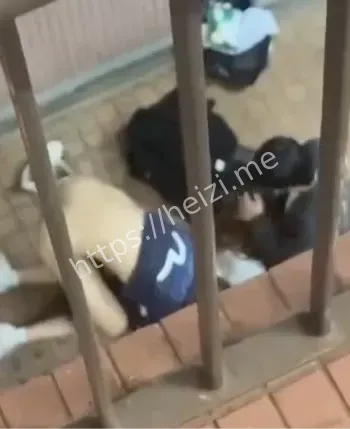 户外激情