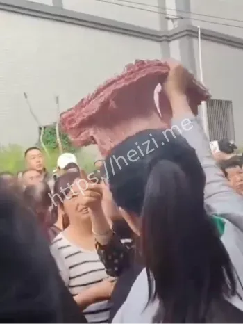 监管机制