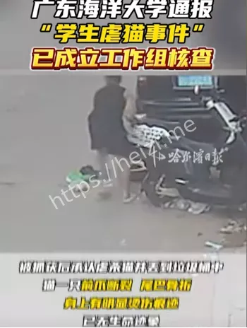 泼开水抛尸