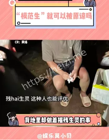 动物保护