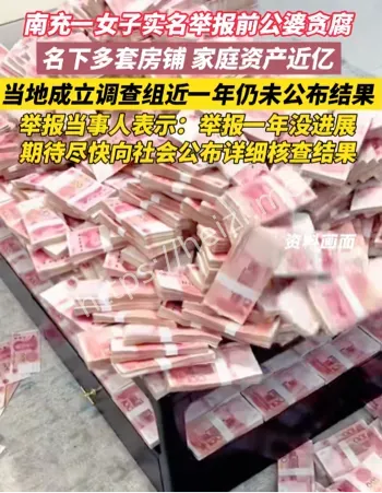 官方调查