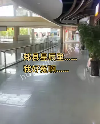 网恋悲剧