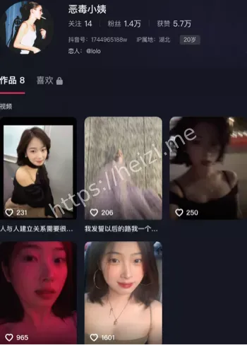 恶毒小姨