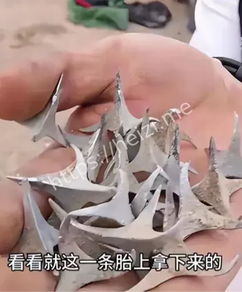 嫌疑人被抓