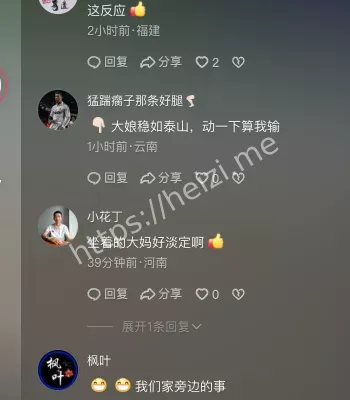 荒唐闹剧