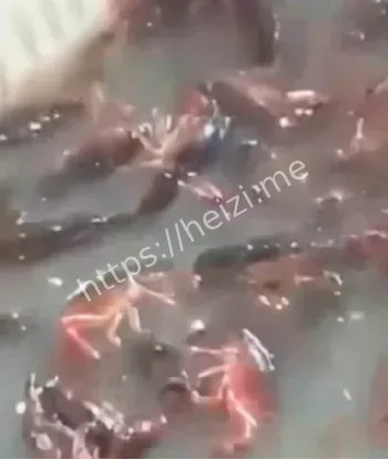 停业整顿