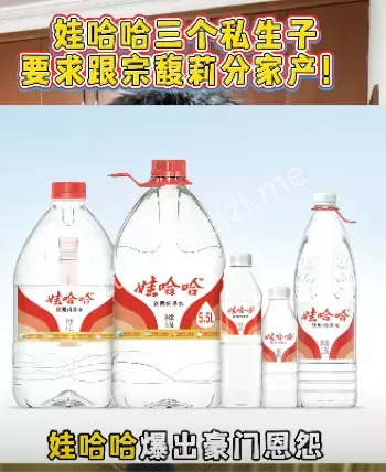 遗产争夺战