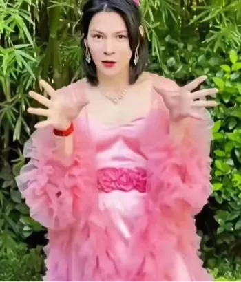 向太豪门