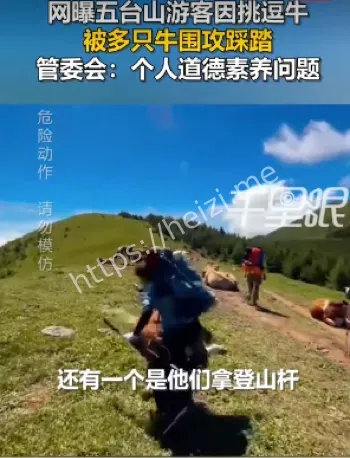 教训