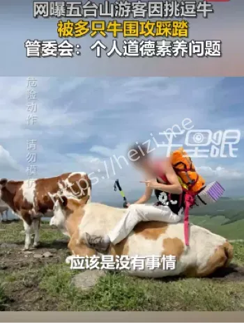 旅游安全