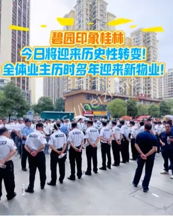 管理混乱