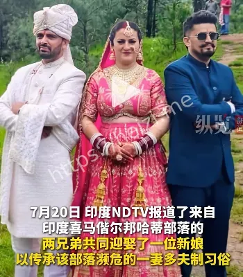 多夫制