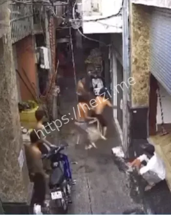 家庭纠纷