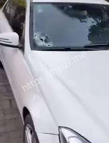 当场击毙
