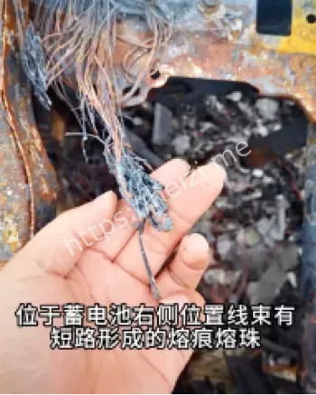 一家三口