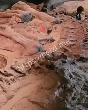 自贡恐龙博物馆