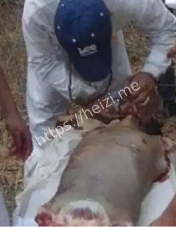 罗布泊