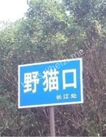 1984年