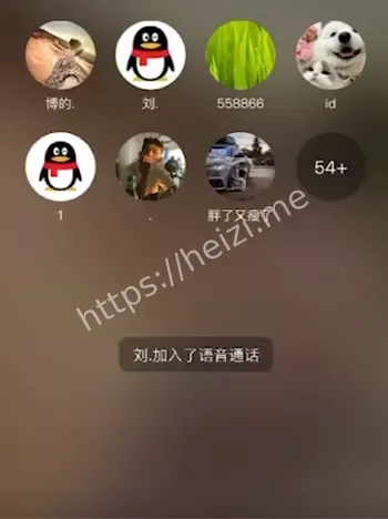 龙王龙妃