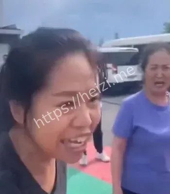 审计组检查