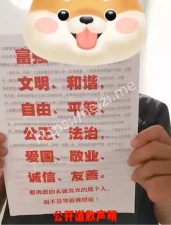 女司机