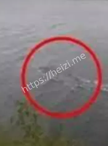 长白山水怪新证据