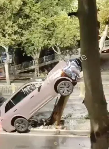 理想汽车