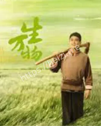 杨幂农村转型