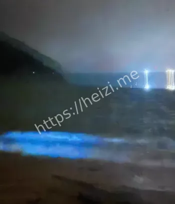 生物发光