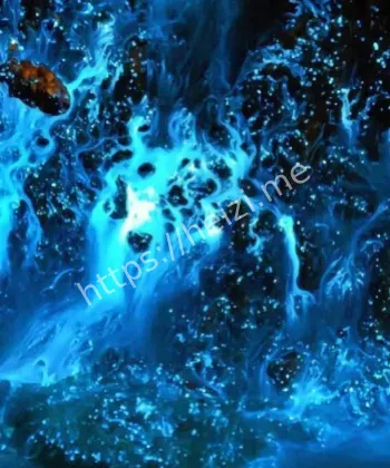 科学奇观