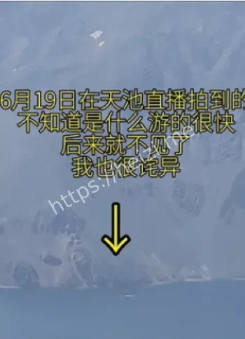 长白山天池水怪