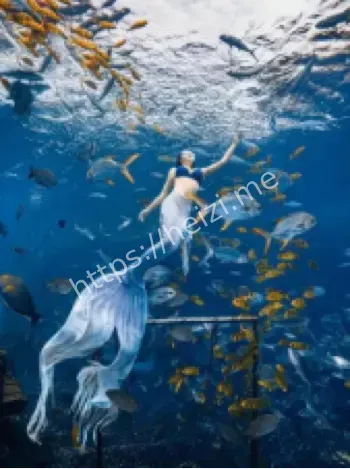 南沙海洋保护