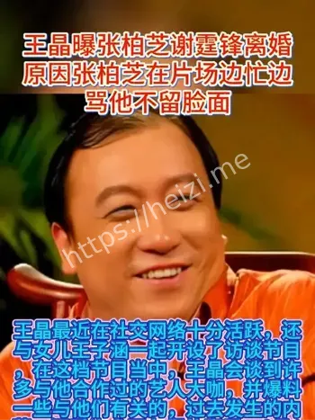 张柏芝谢霆锋离婚原因