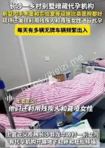 1.3亿元罚款