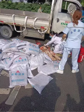 事故多车