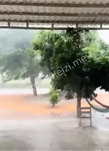 台风剑鱼