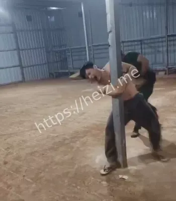 赔付