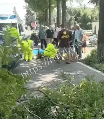 刹车失灵