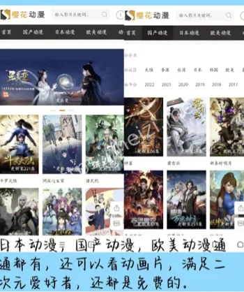 版权保护