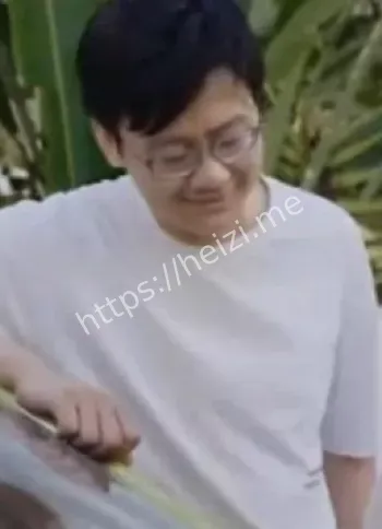 陶白白