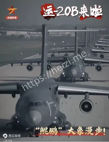 大象漫步