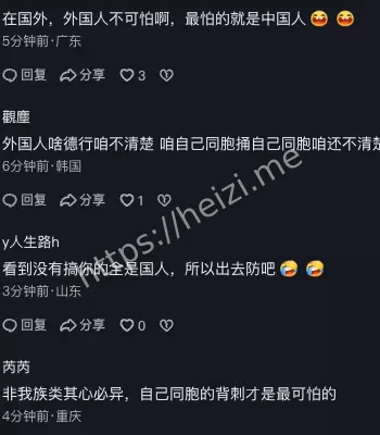 国内团队