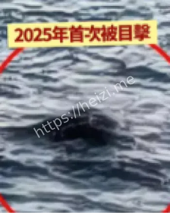 尼斯湖声纳扫描无果