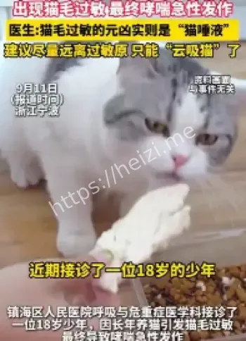 吸猫致敏